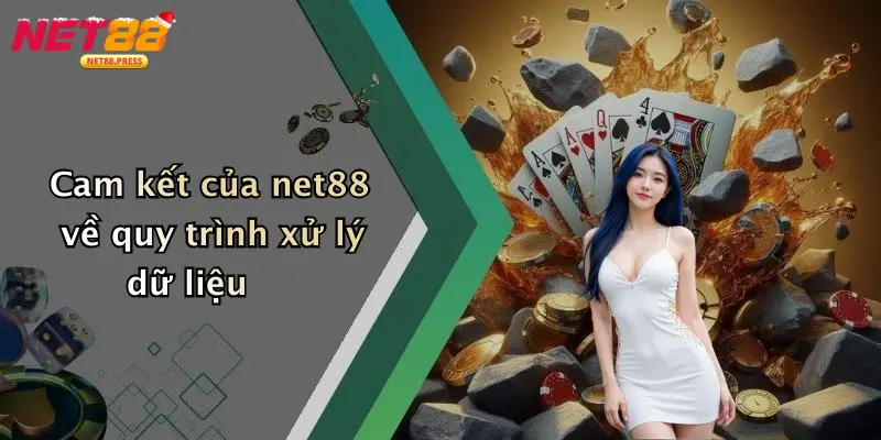 Cam kết của net88 về quy trình xử lý dữ liệu
