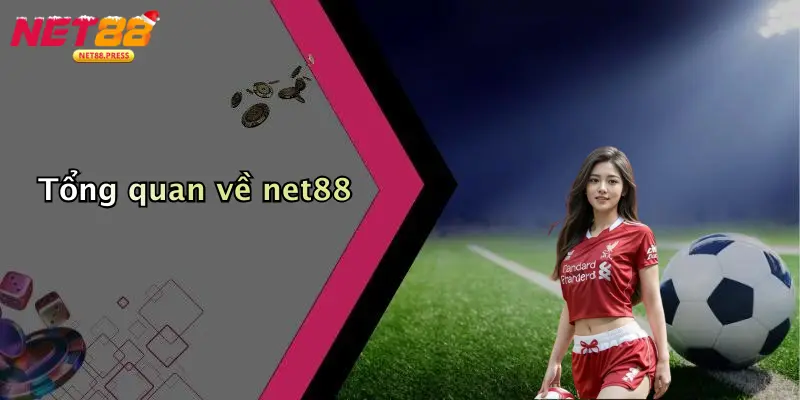 Tổng quan về net88